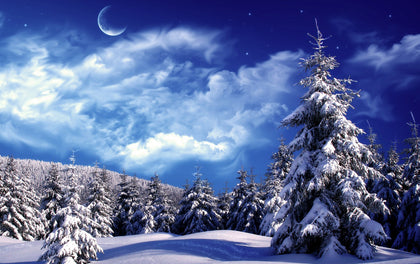 Winter & Holiday