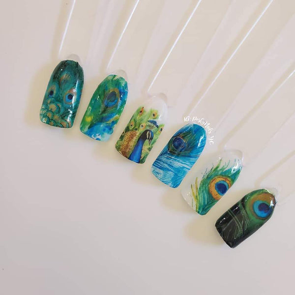 Amber did it!: Peacock Nails and a super big announcement